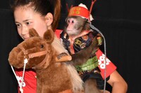 馬のぬいぐるみに乗って登場した猿。