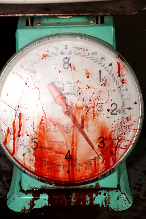 「ミュージアム」