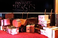 「ファンタスティック・ビーストと魔法使いの旅」ファンイベントの様子。