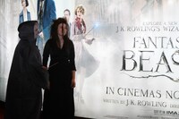 「ファンタスティック・ビーストと魔法使いの旅」ファンイベントの様子。
