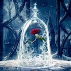 ディズニー「美女と野獣」実写版は2017年4月公開、ビジュアル解禁