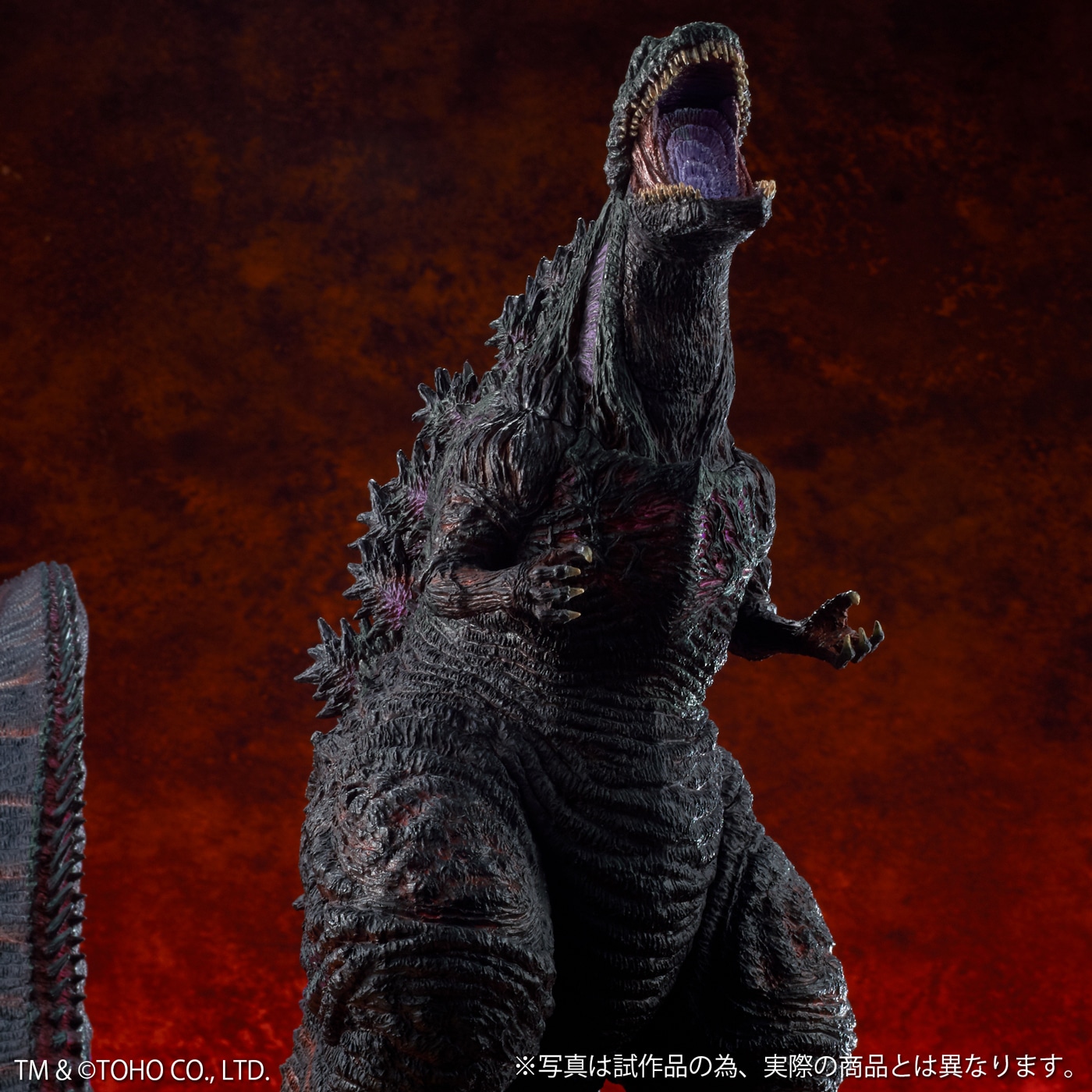 「東宝大怪獣シリーズ ゴジラ（2016）少年リック限定版」