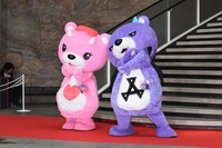 左からコアックマ、アックマ。