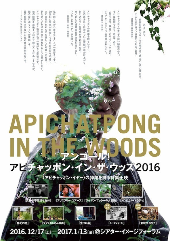 「アピチャッポン・イン・ザ・ウッズ2016 アンコール！」チラシビジュアル裏面