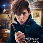 「ファンタビ」エディ・レッドメインら初日舞台挨拶に登壇決定