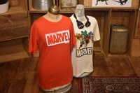 「3分でわかる！赤ペン瀧川のマーベル入門」のセット。