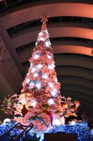 点灯後のクリスマスツリー「Ocean Fantasy Tree～君と100回目の恋～」。