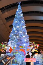 点灯後のクリスマスツリー前に立つ坂口健太郎とmiwa。