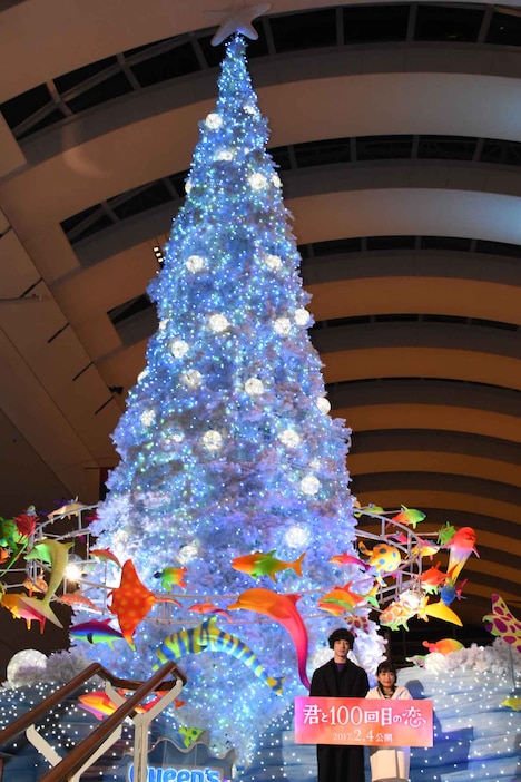 点灯後のクリスマスツリー前に立つ坂口健太郎とmiwa。