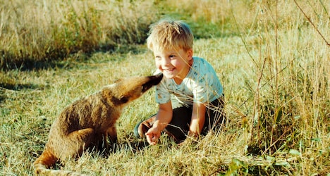 「世界でいちばんのイチゴミルクのつくり方」