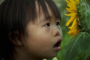 「種をまく人」