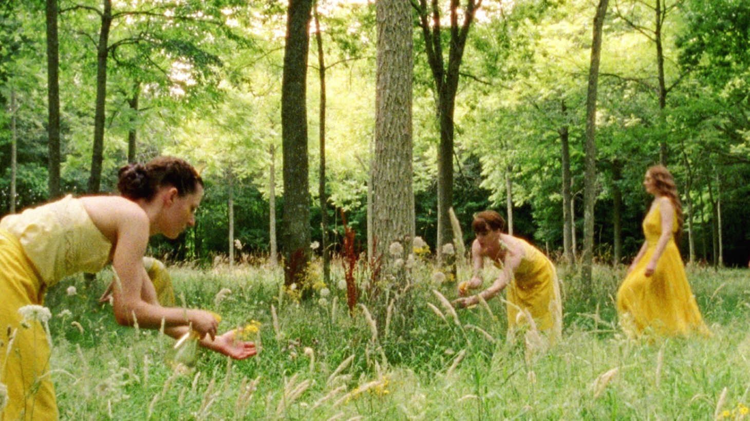 「ネクター」 (c)De Films en Aiguille visa d'exploitation 138 319