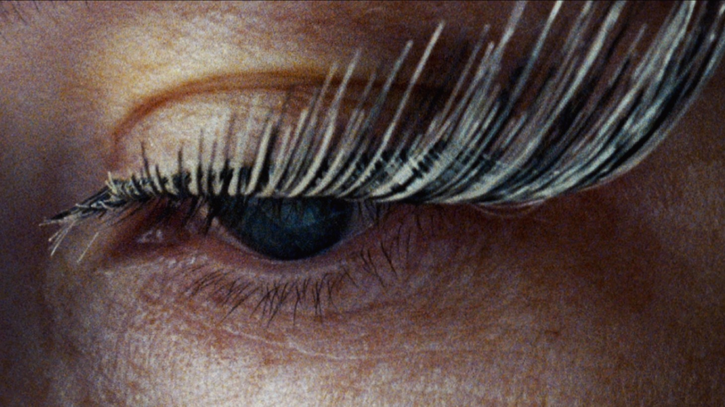 「ネクター」 (c)De Films en Aiguille visa d'exploitation 138 319