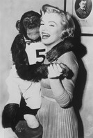 「モンキー・ビジネス」 (c) 1952 Twentieth Century Fox Film Corporation. Renewed 1980 Twentieth Century Fox Film Corporation.