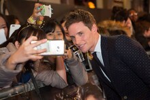 エディ・レッドメイン