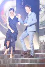 左からキャサリン・ウォーターストン、エディ・レッドメイン。