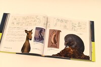 「『ファンタスティック・ビーストと魔法使いの旅』アートワークのすべて」中面