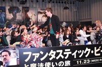 「ファンタスティック・ビーストと魔法使いの旅」ファンイベントの様子。