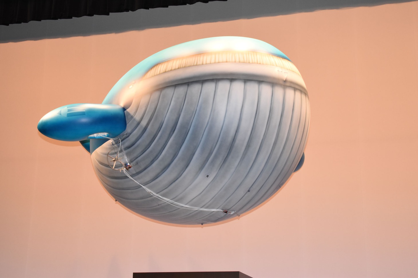 空飛ぶクジラ