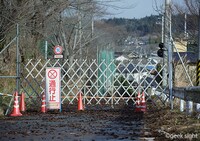 「1001のバイオリン」 (c) geek sight