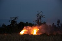 「炎」（2009年 / インクジェット・プリント / 東京都写真美術館蔵）