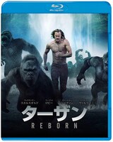「ターザン：REBORN」Blu-ray & DVDセットのジャケット。