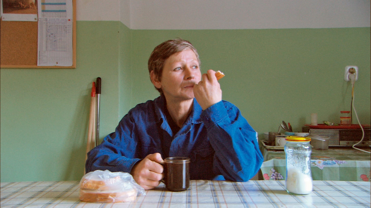 第2回いただきます映画祭が神戸で開催、生産者が集まるマルシェも