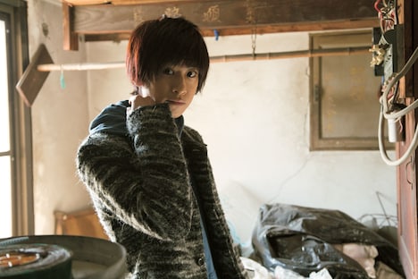 「Please Please Please」より、赤澤燈。