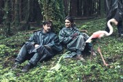 「ロブスター」 (c)2015 Element Pictures, Scarlet Films, Faliro House Productions SA, Haut et Court, Lemming Film, The British Film Institute, Channel Four Television Corporation.