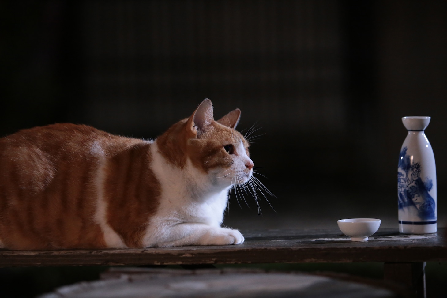 「猫忍」で父上に扮する金時。