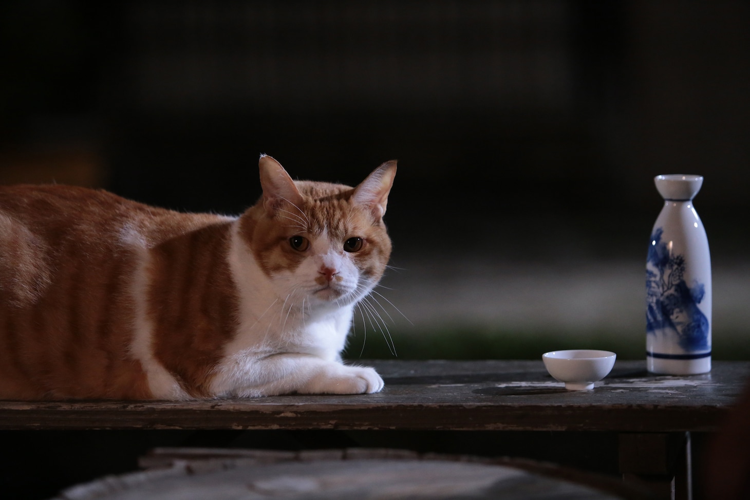 「猫忍」で父上に扮する金時。