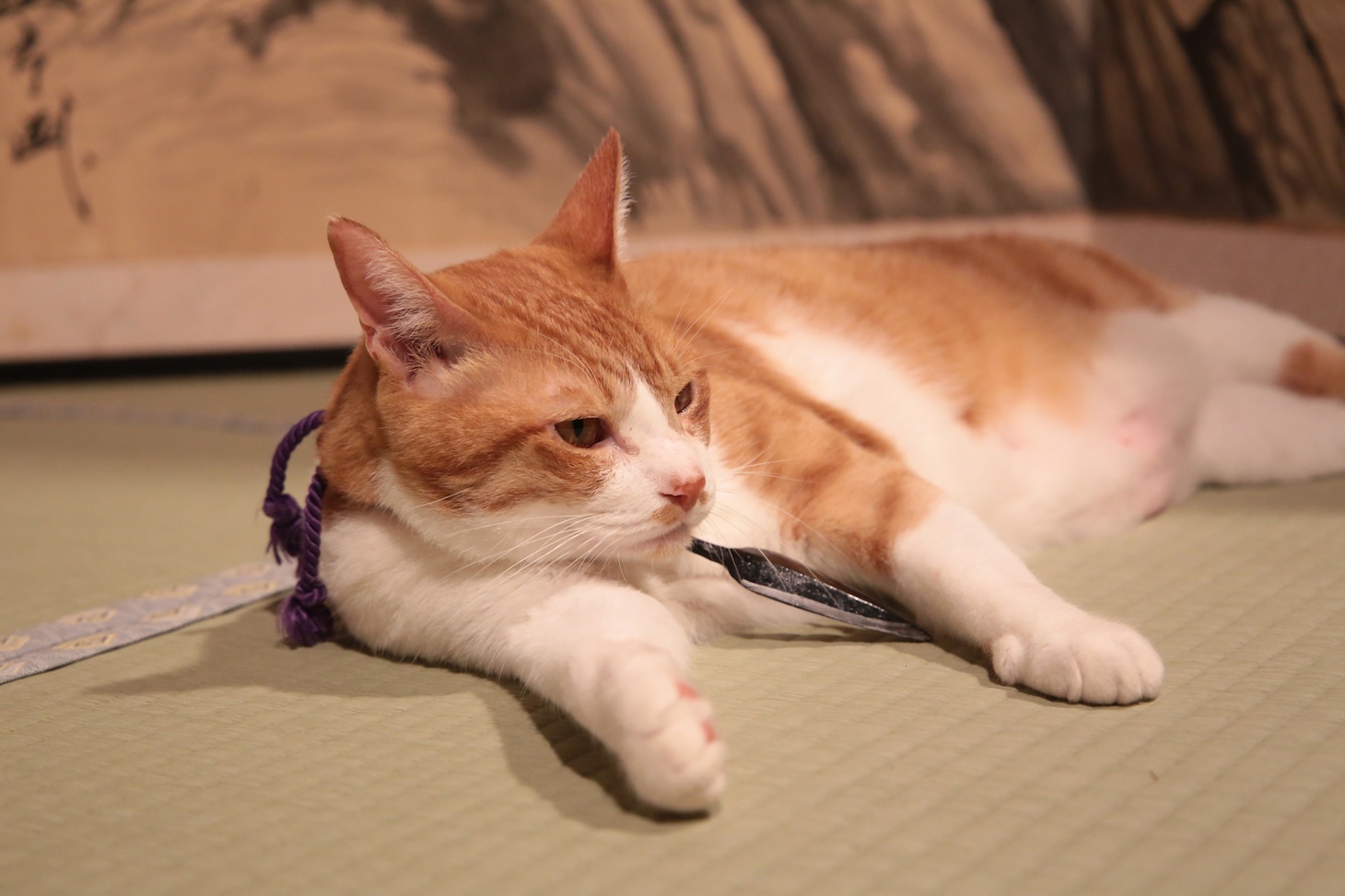 「猫忍」で父上に扮する金時。