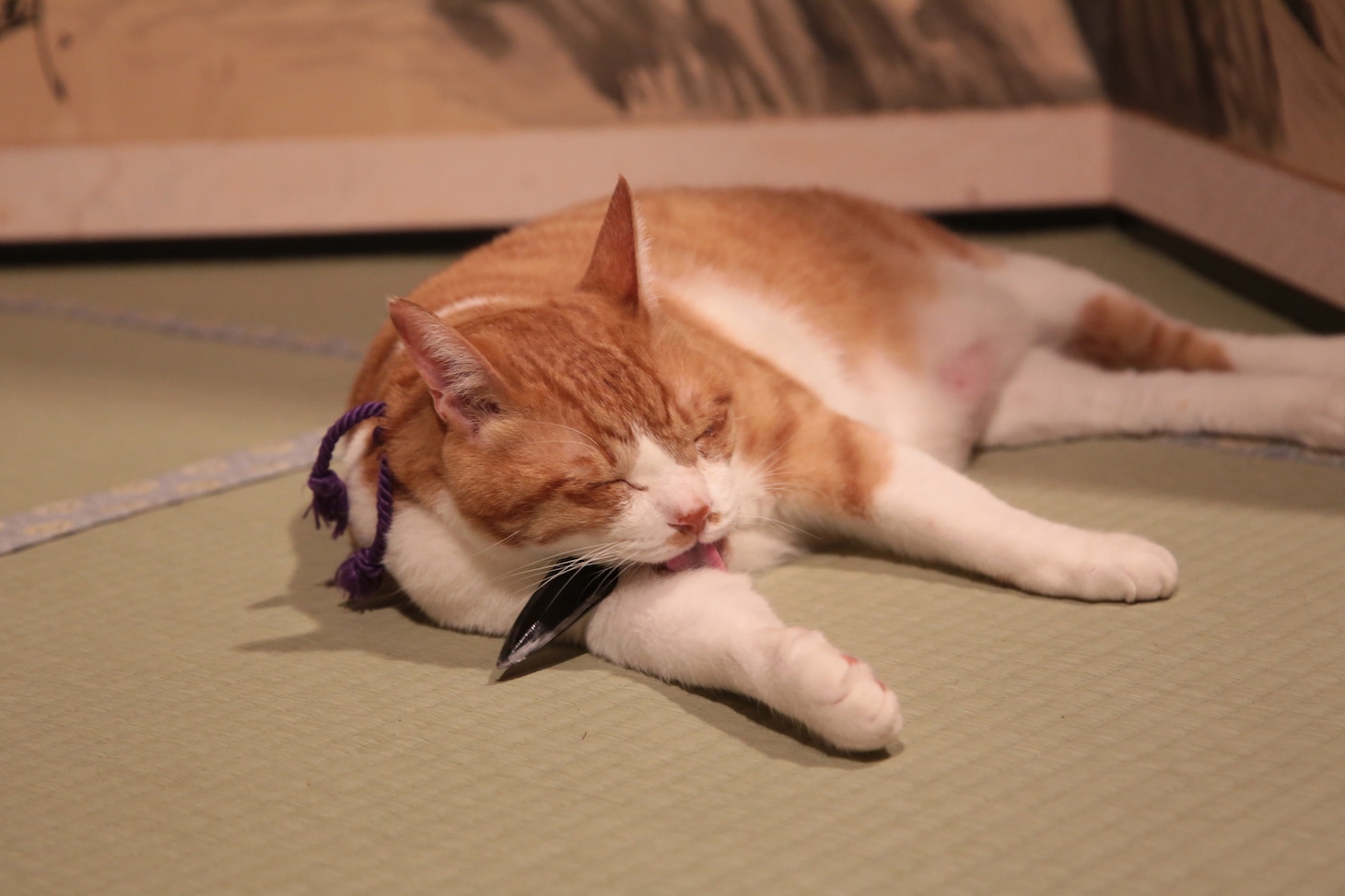 「猫忍」で父上に扮する金時。