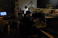 「ひるね姫 ～知らないワタシの物語～」制作現場の様子。