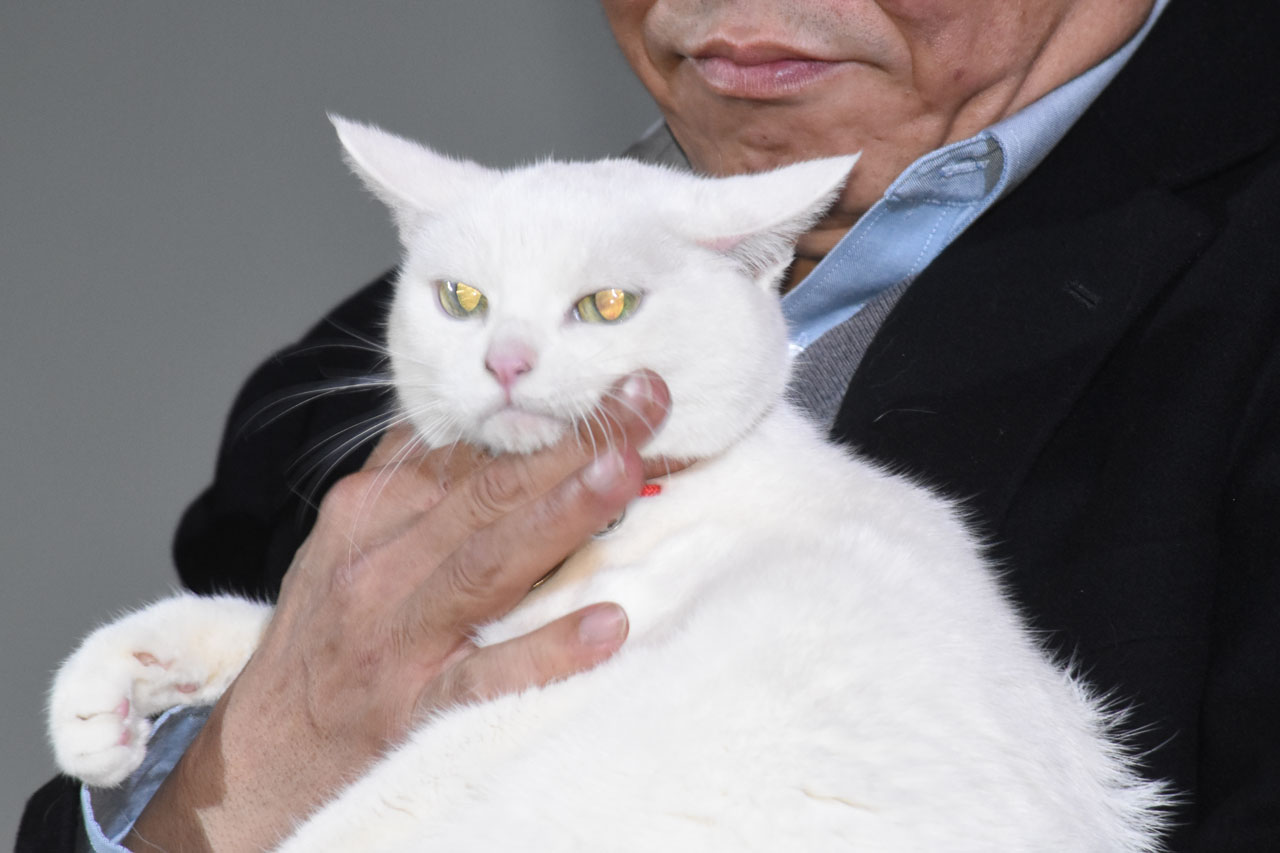 あなご