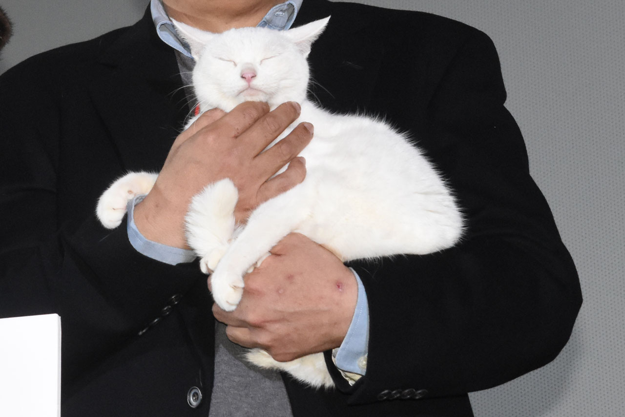 あなご