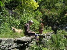 「ターシャ・テューダー 静かな水の物語」 (c)2017 映画「ターシャ・テューダー」製作委員会