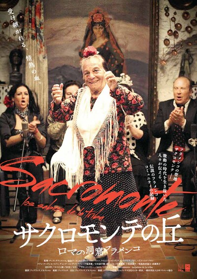 「サクロモンテの丘～ロマの洞窟フラメンコ」チラシビジュアル