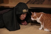 ドラマ「猫忍」