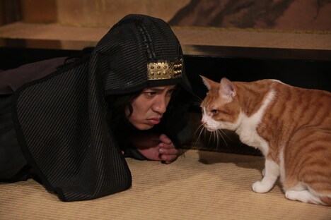 ドラマ「猫忍」