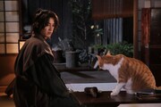 ドラマ「猫忍」