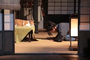ドラマ「猫忍」