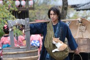 ドラマ「猫忍」