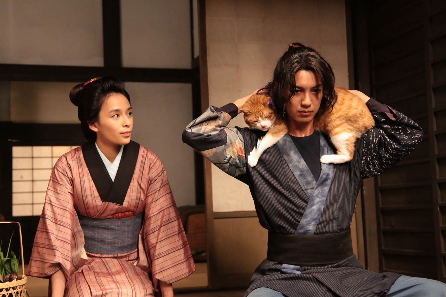 ドラマ「猫忍」