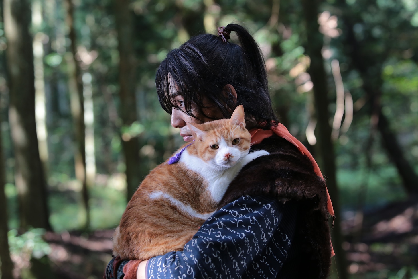 ドラマ「猫忍」
