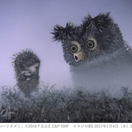 ユーリー・ノルシュテイン監督作6タイトルをHD修復版で世界初オンエア