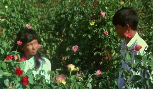 「蝶と花」