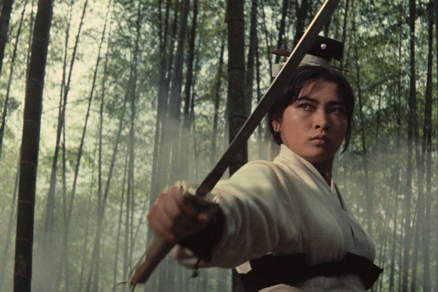 「侠女 デジタル修復版」 (c)1971 Union Film Co., Ltd./ (c)2015 Taiwan Film institute All rights reserved (for A Touch of Zen)