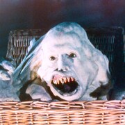 カルトホラー「バスケットケース」3部作BD BOX発売、シャム双生児の兄弟愛描く