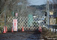 「1001のバイオリン」